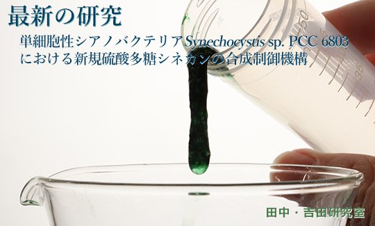 最新の研究202210