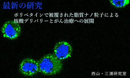 最新の研究202211
