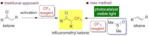 fig2.jpg