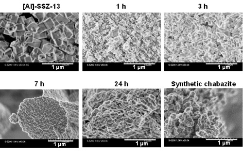 Fig.7.jpg