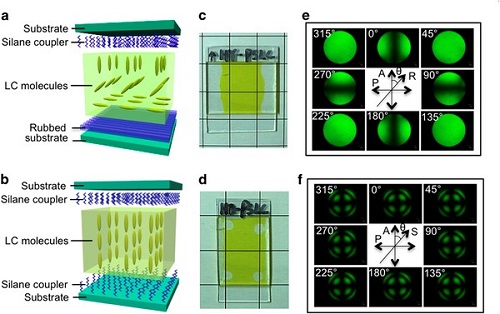 Fig1_1.jpg