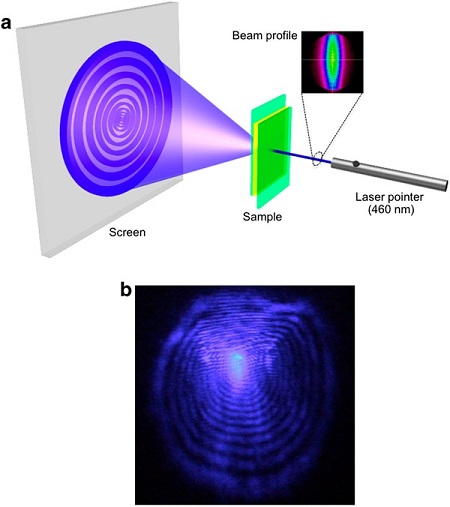 Fig2_1.jpg