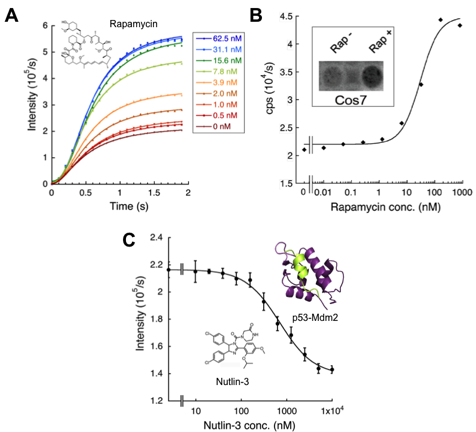 Figure2.png