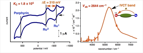 Figure2_R.jpg