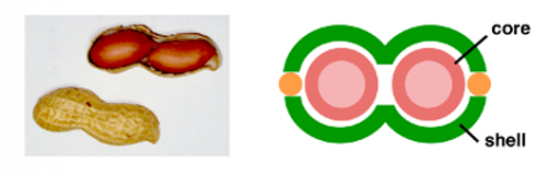 201708Fig01.png