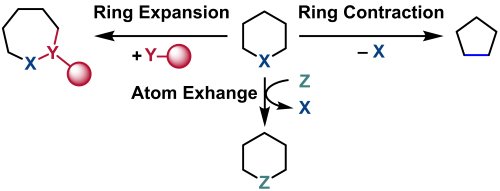 Fig.1