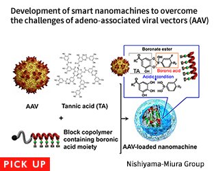 Development of smart nanomachines to overcome the challenges of adeno-associated viral vectors (AAV)