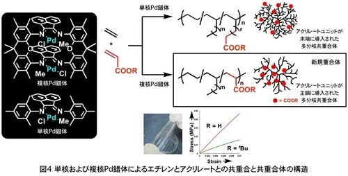 図４単核および複核Pd錯体によるエチレンとアクリレートとの共重合と共重合体の構造.jpg