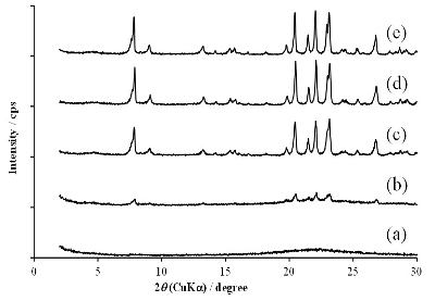 2016_10_Fig.2_yokoi.jpg