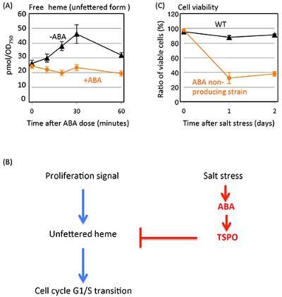 Figure1