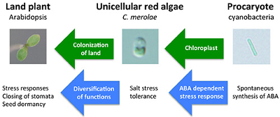 Figure2