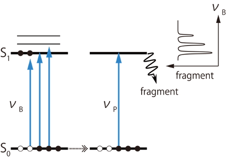 201703Fig02.jpg