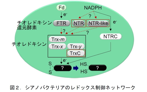 201706Figure02.jpg