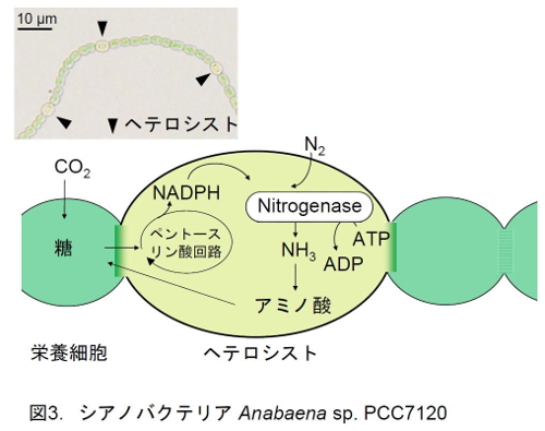 201706Figure03.jpg