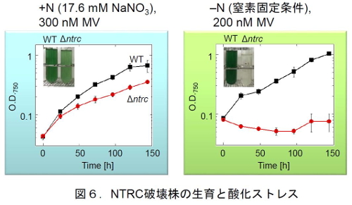 201706Figure06.jpg