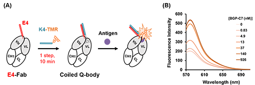 図2