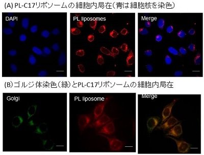 1407図3.jpg