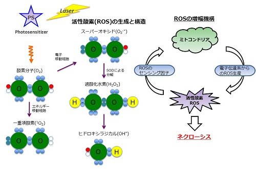 1407図１.jpg