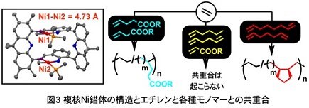図３複核Ni錯体の構造とエチレンと各種モノマーとの共重合.jpg