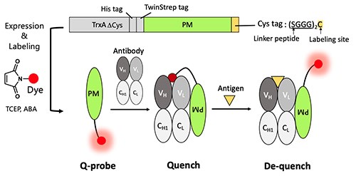 Fig.02.jpg