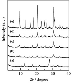 Fig.5.jpg