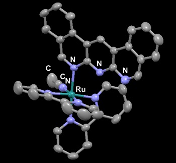 Figure 3_PW_re.jpg