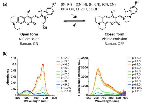 Fig.1