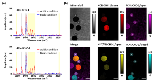 Fig.3