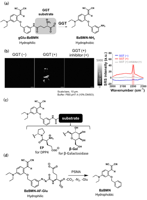 Fig.5