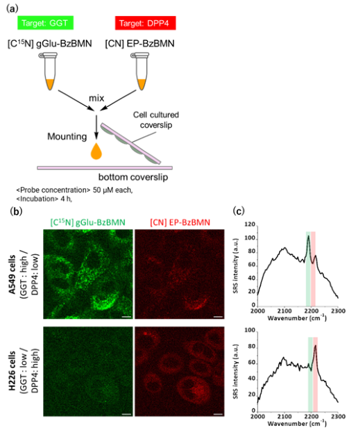Fig.6