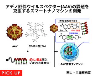 アデノ随伴ウイルスベクター(AAV)の課題を克服するスマートナノマシンの開発