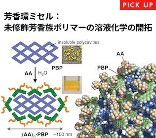 芳香環ミセル：未修飾芳香族ポリマーの溶液化学の開拓