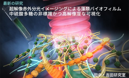 202512最新の研究