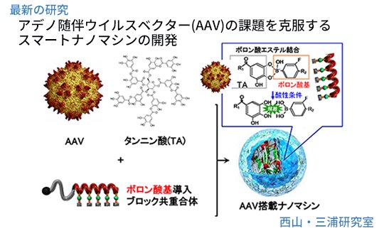 202511最新の研究