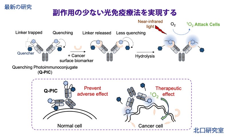 202506最新の研究