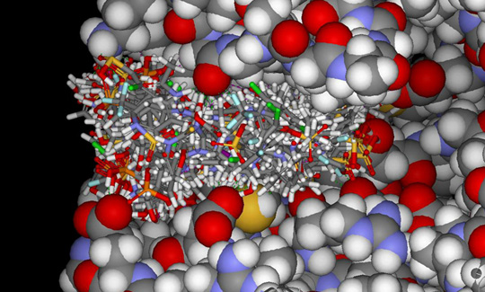 化学生命科学研究所
